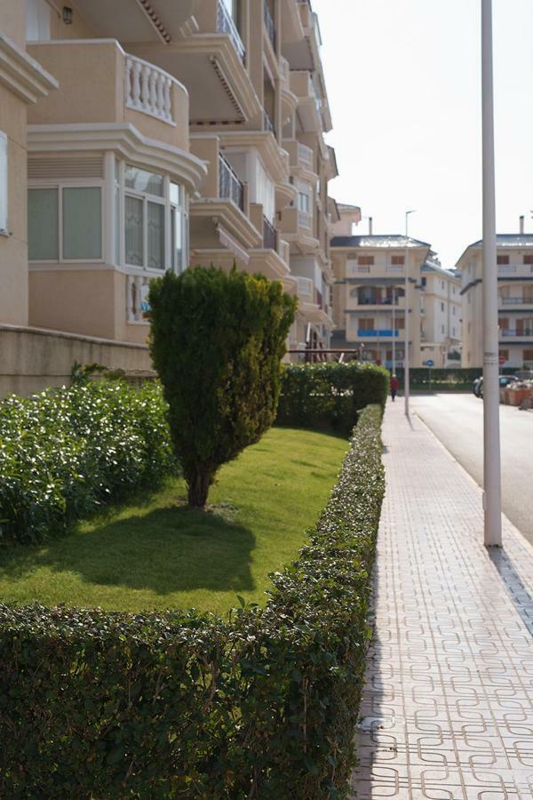 Apartment Sunny La Mata La Mata  Ngoại thất bức ảnh